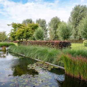 Kros-tuin-1024x670