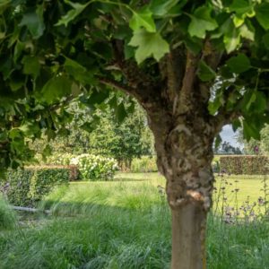 kros-tuin-2-1024x682