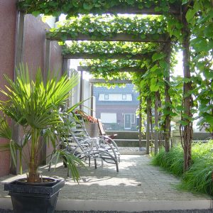 visser-pergolas-berceau visser-pergolas-berceau
